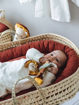  Baby Palm Leaves Changing Basket för bebis