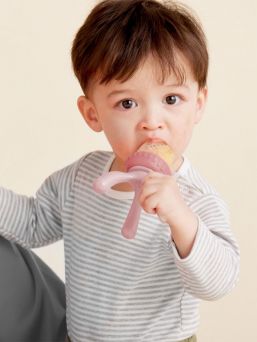 b.box Fresh Food Feeder – bitleksak och napp för bebis, Blush