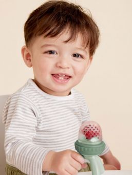 b.box Fresh Food Feeder – bitleksak och napp för bebis, Sage