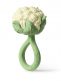 Oli&Carol Cauliflower skallra
