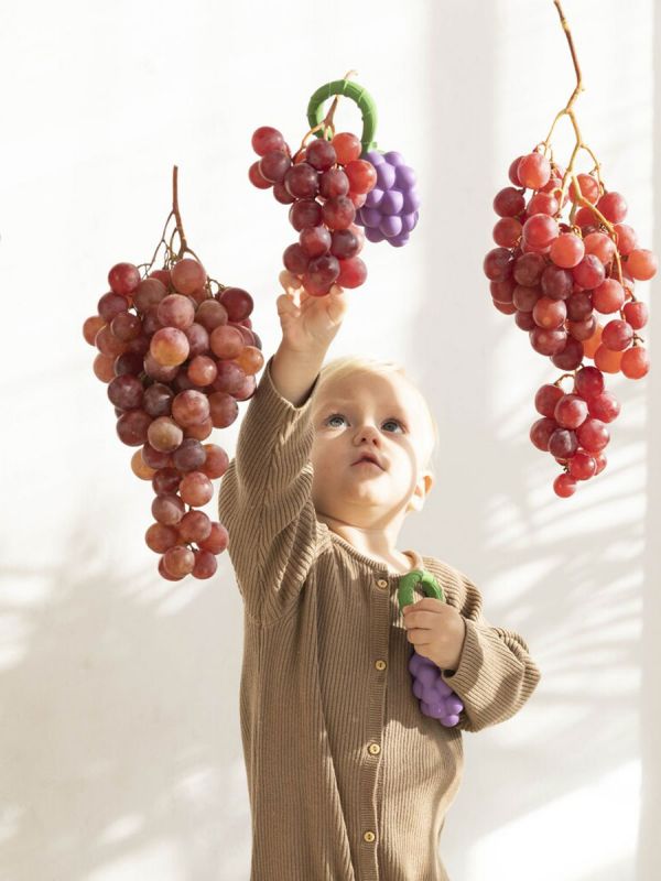 Oli&Carol Grape skallra