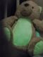 Teddykompaniet - en nallebjörn som lyser i mörkret