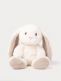Teddykompaniet Teddy Mocca 25cm  – beige gosedjurskanin